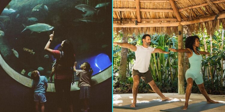 ¿Conoces el lado eco-friendly de Miami? Los mejores lugares para vacacionar sustentable