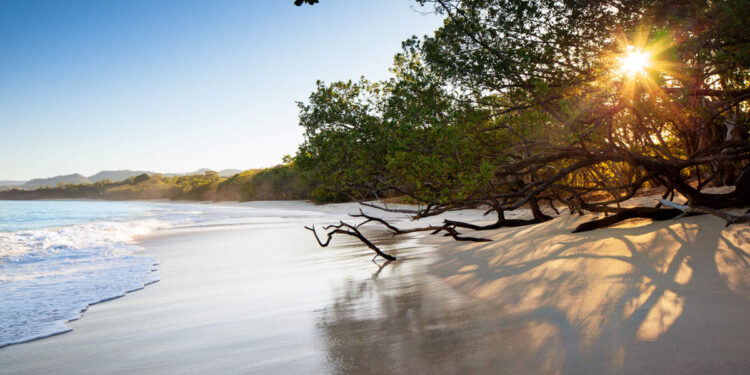 Viaje a la reserva más exquisita y sostenible de Costa Rica