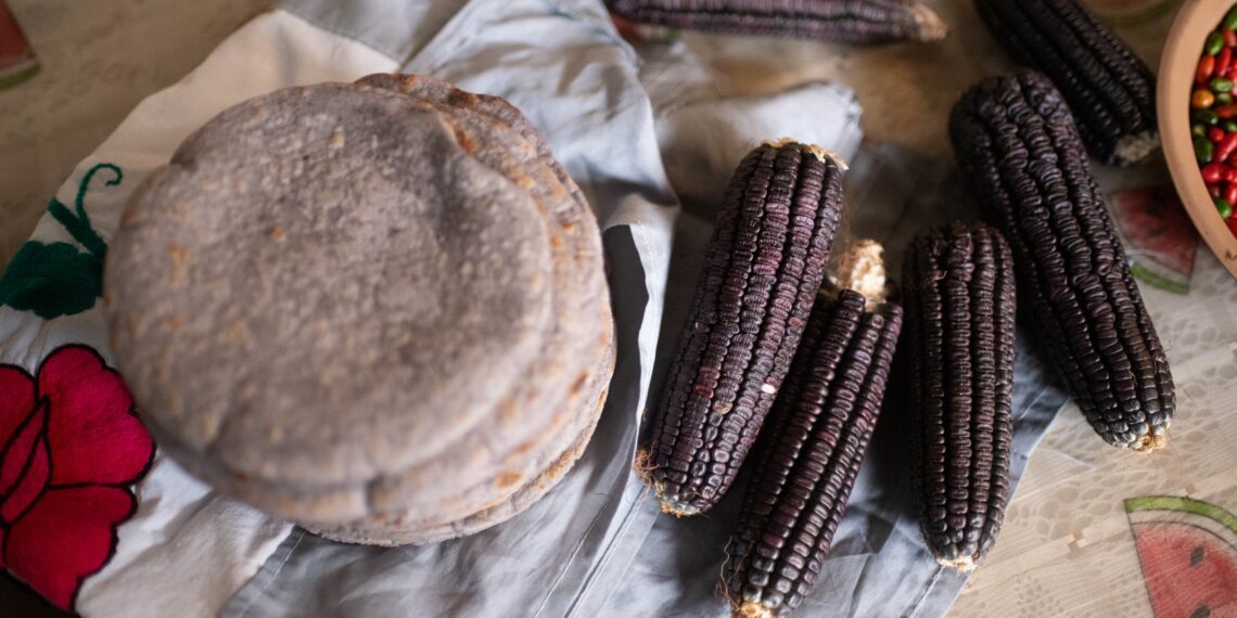 Gruma impulsa crecimiento de Mission Foods con nuevas plantas