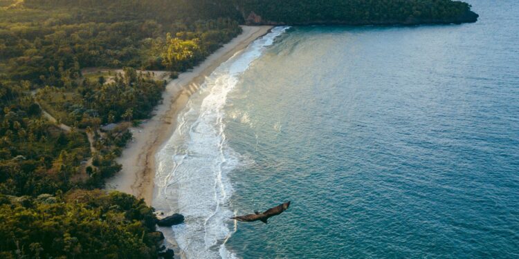 República Dominicana destaca entre los mejores destinos del 2024