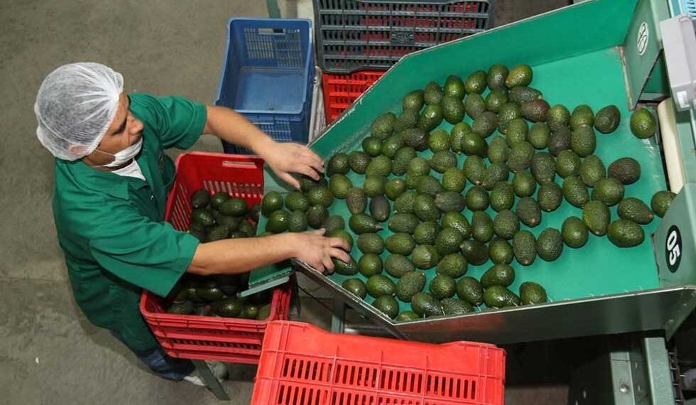 Pide EU a México revisar denegación laboral en Fresh Foods