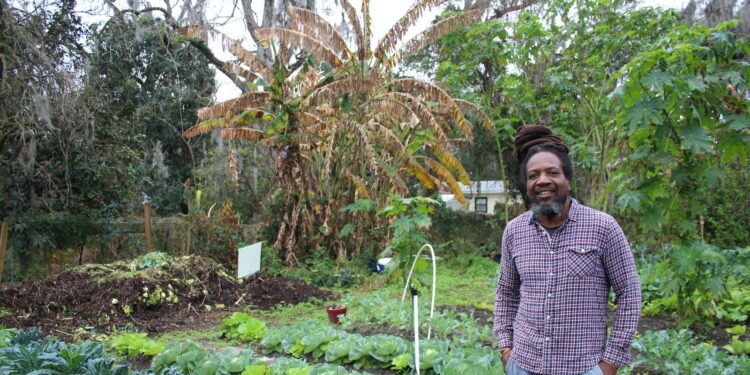 Gainesville community implements urban farms to fight food insecurity
