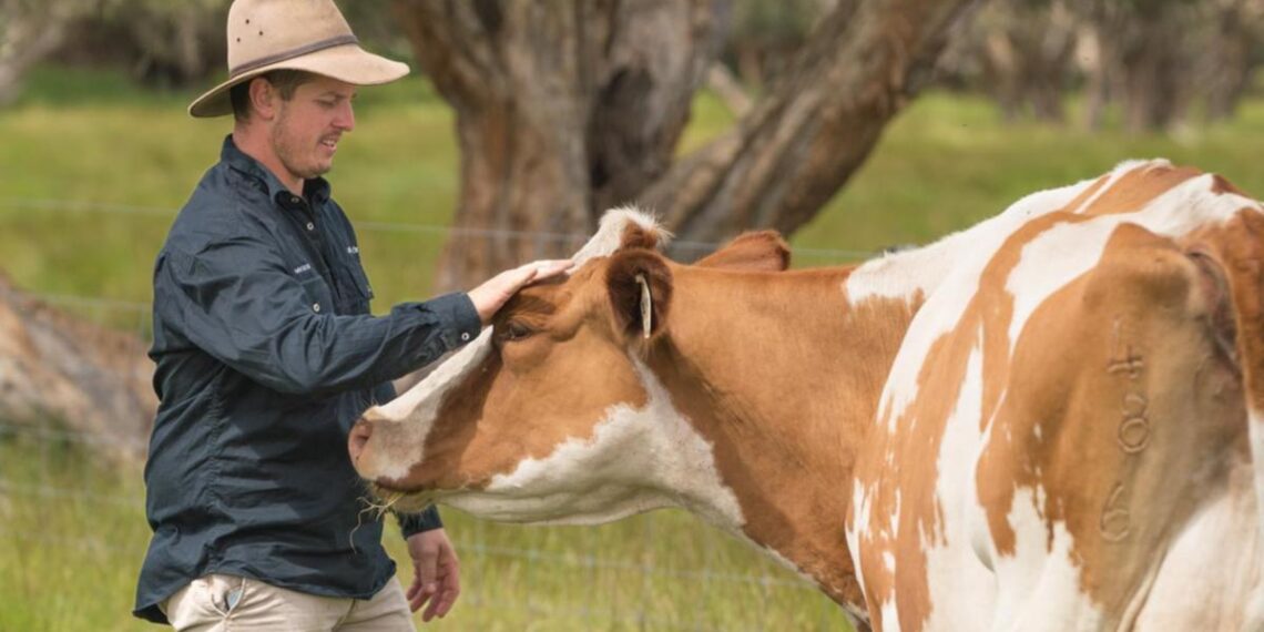 The Cheeky Cow snaps up Margaret River Dairy Company and Mundella Foods