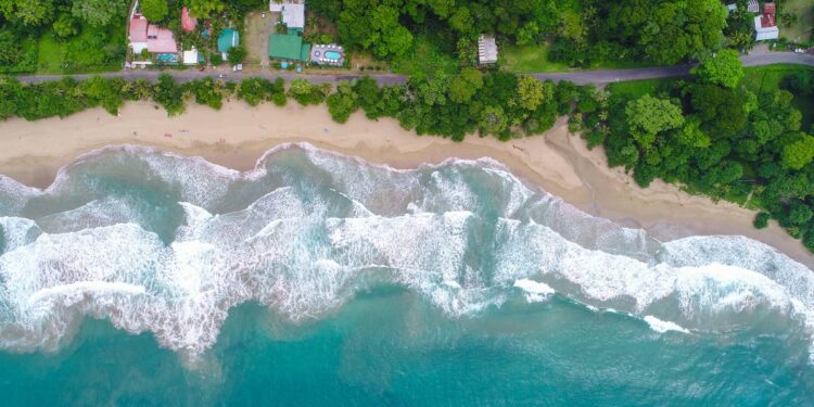 Pura Vida en pareja – El Financiero