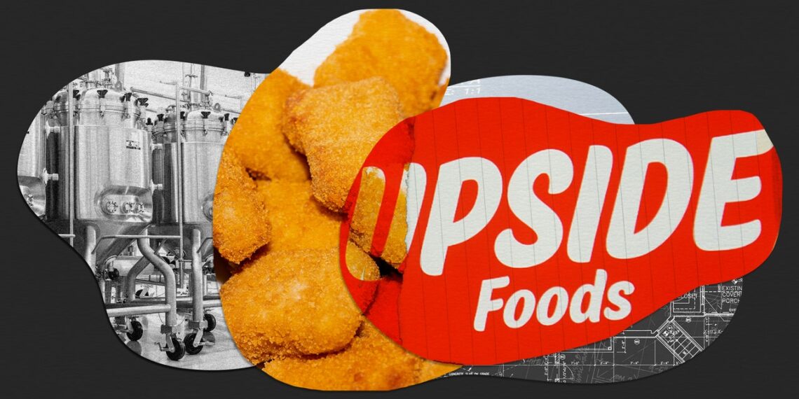 Leading Lab-Grown Meat Company Upside Foods Just Paused a Major Expansion