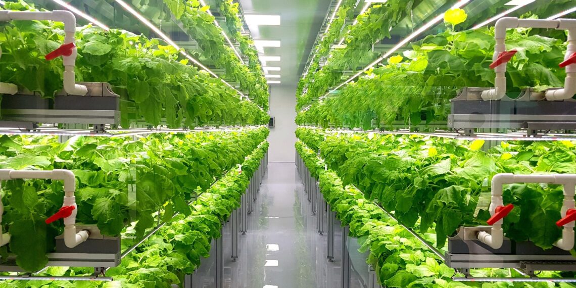 GLOBAL POLICY REPORT: The Economics of the Food System Transformation. Image Credit: YEINISM / Shutterstock