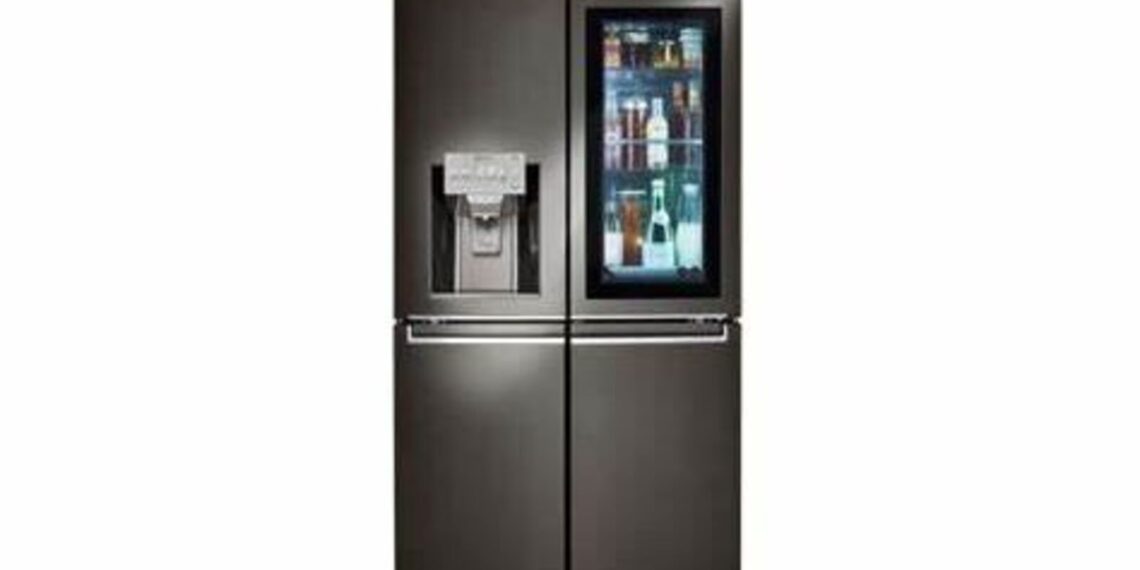 LG refrigerators: Top 9 choices for crisp and flavourful foods
