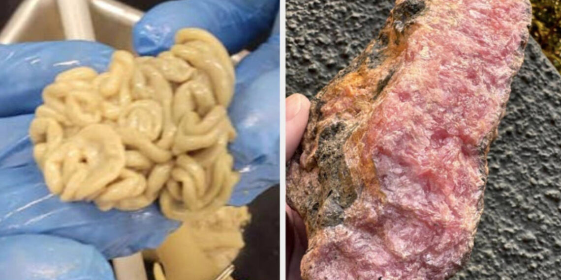 23 "Forbidden Foods" You'll Immediately Want To Take A Bite Of, Then Quickly Realize How Terrible Of An Idea That Would Be