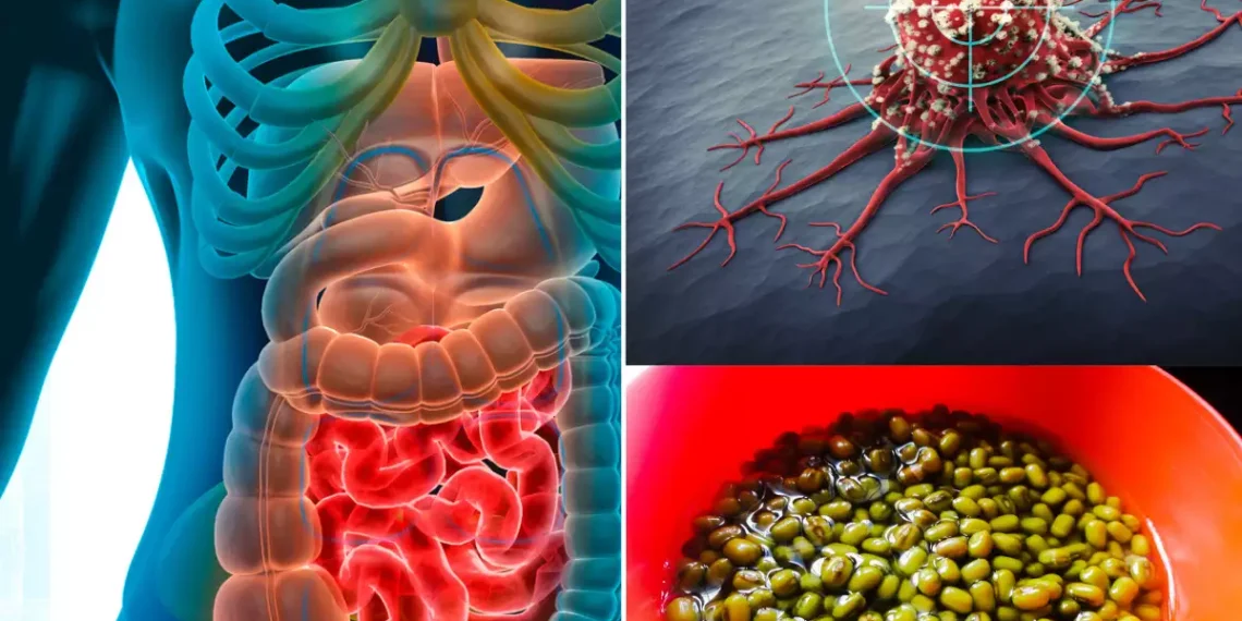 Cancer Diet: Top 7 Cancer-Fighting Foods You Should Include in Your Diet