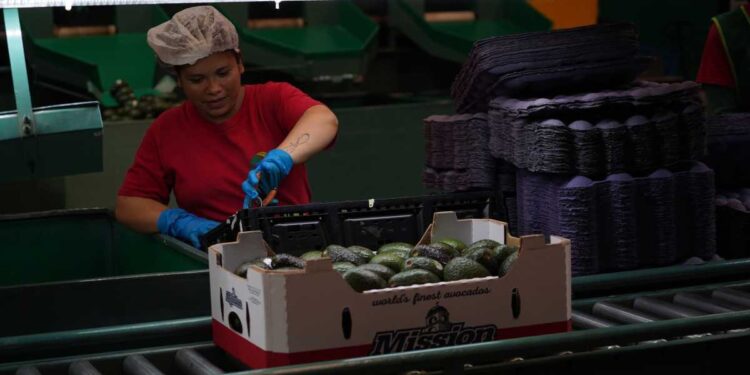 revisen derechos laborales en RV Fresh Foods Grupo Milenio