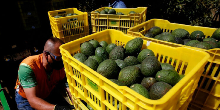 México admite solicitud de revisión de EU contra RV Fresh Foods Grupo Milenio