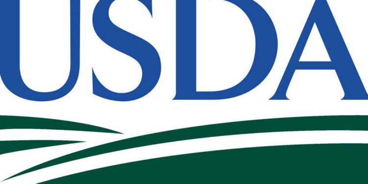 Don’t let delivery and takeout foods fumble your Super Bowl