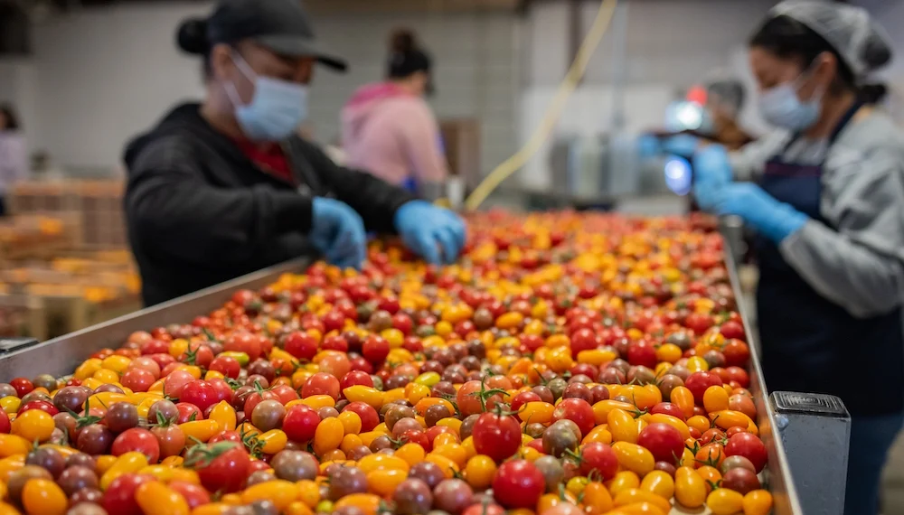 This is the Year to Eat More Upcycled Foods