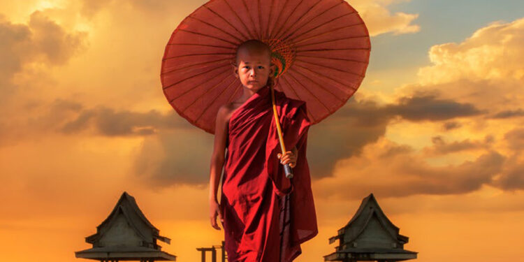 Algunos de los destinos son India, Nepal, Sri Lanka, Vietnam, Camboya, Indonesia, China, Japón, Kenia, Tanzania, Canadá, Costa Rica, México o Perú.