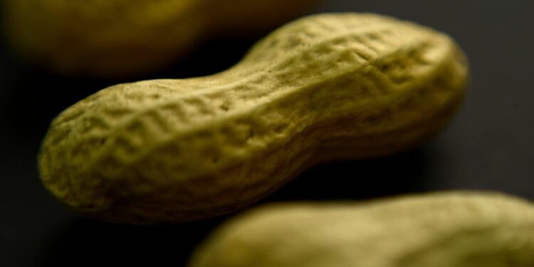 US approves breakthrough drug to treat severe food allergies