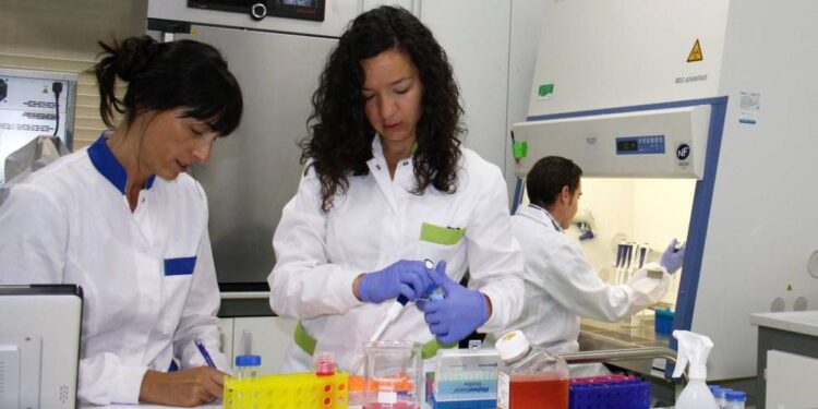 Biotech Foods invertirá 30 millones en la primera fábrica de carne cultivada de España | Empresas