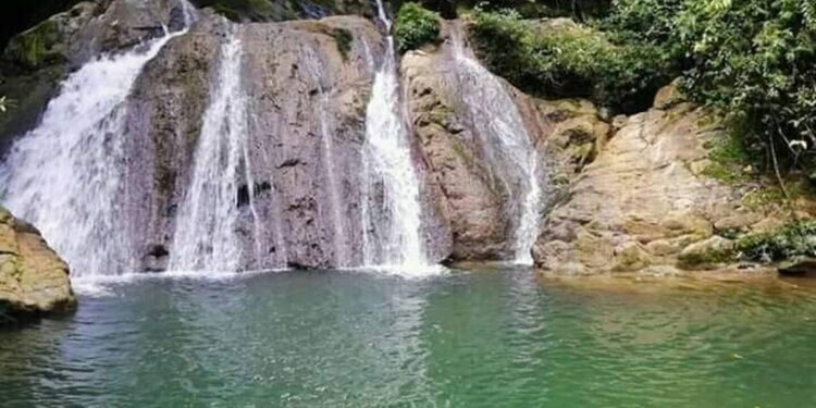Porque no se puede ir a la selva lacandona - El Heraldo de Chiapas