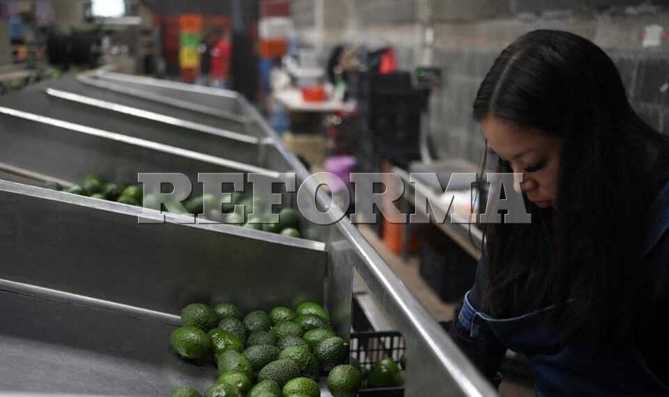 EU pide a México revisar denegación laboral en Fresh Foods