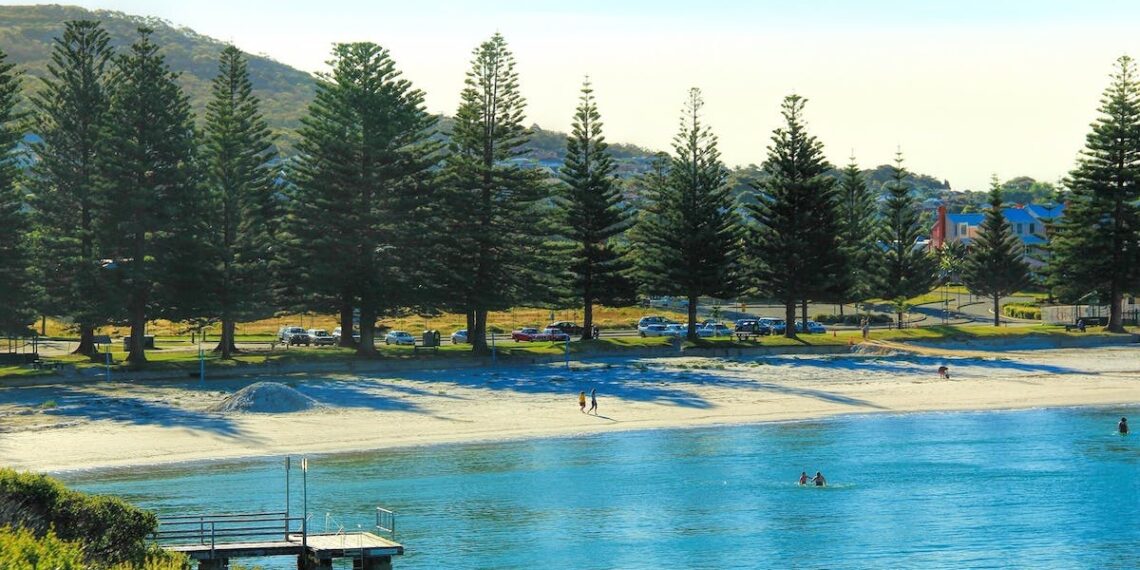 Surf's up in Albany: Artificial reef moving forward, Surf Life Saving Club redevelopment begins
