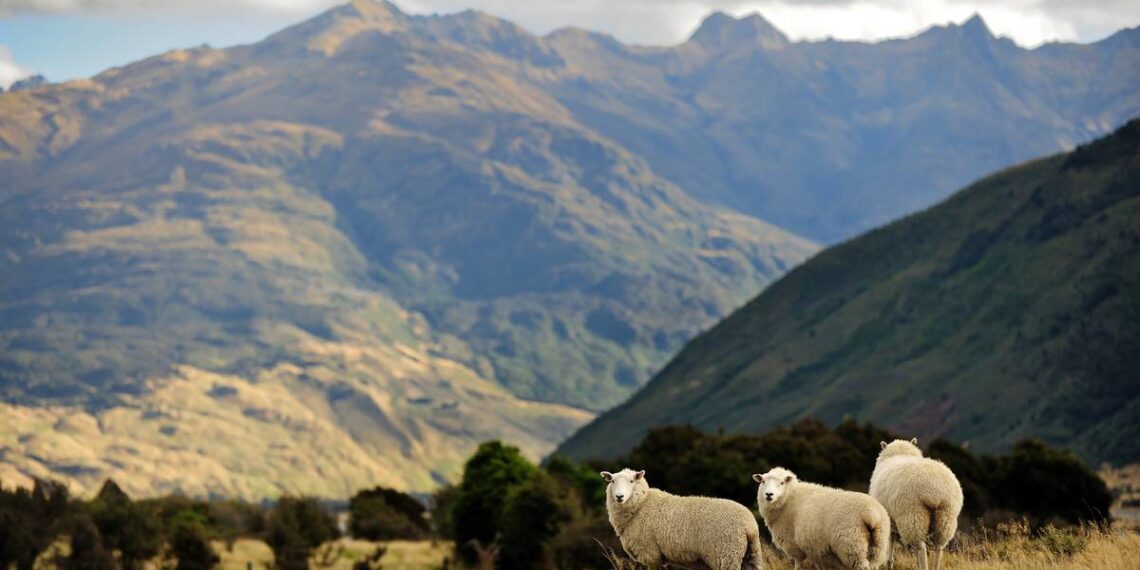 The Conversation: Alternative food technology - NZ has the energy resources, it just needs a plan