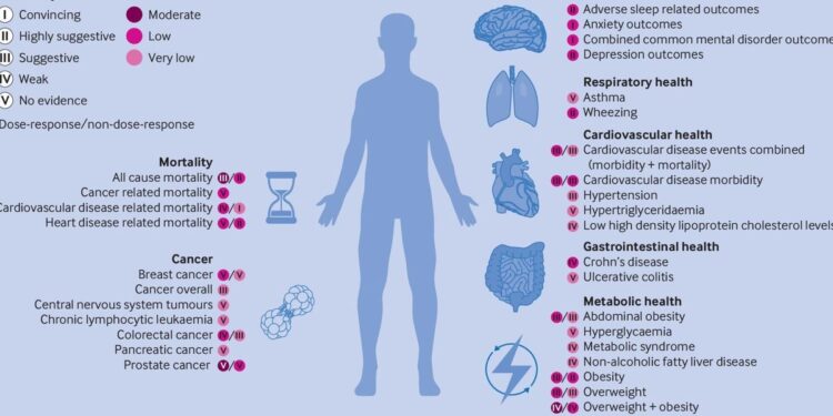 A Deep Dive into Ultra-Processed Foods and Their Health Risks