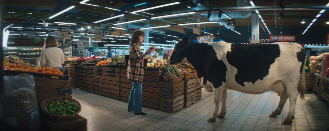 Halcón Viajes pone solución a las alucinaciones con vacas