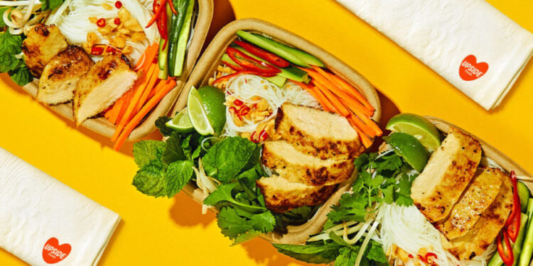 Upside Foods pauses plans for new cultivated meat plant