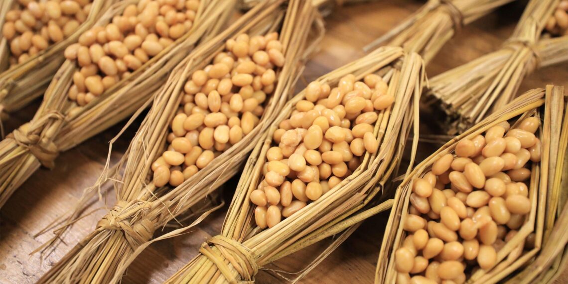Soybeans that have been fermented with Bacillus natto.
