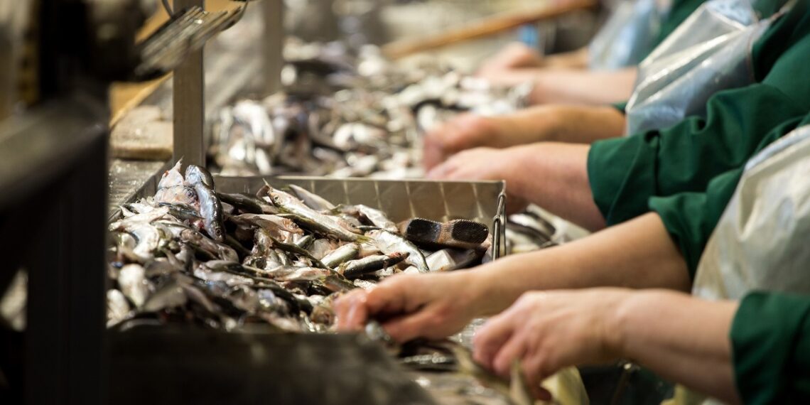 New UNCTAD-WHO analysis reveals trends in processed foods trade