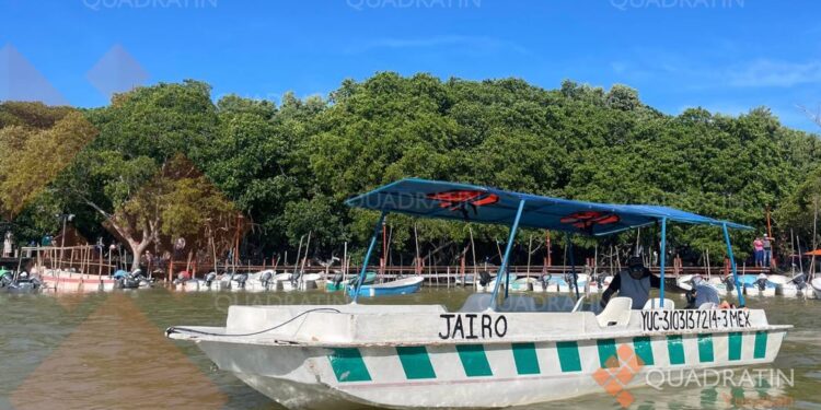 Esperan aumento en viajes de lancheros, en Celestún, por Semana Santa