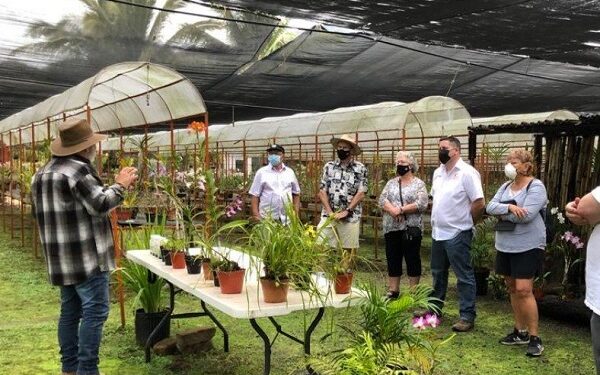 Descubre el Orquideario más grande de México en Manzanillo
