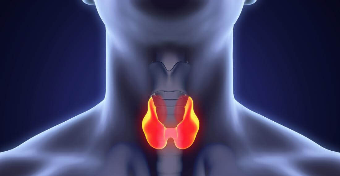 Here are 5 best and worst foods for people with thyroid disorders.