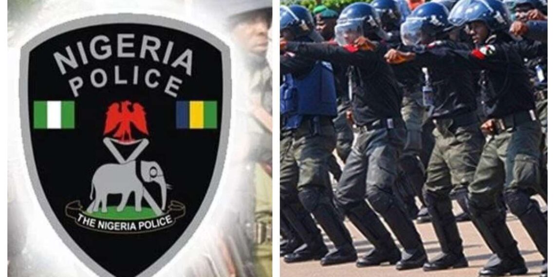 Erisco Foods: Police insist on prosecution of Chioma Okoli, warn social media influencers