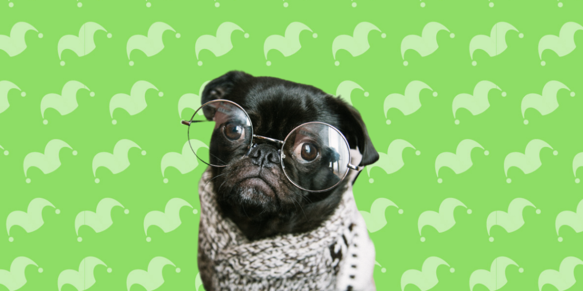 5 Lies Pet Food Companies Want You to Believe