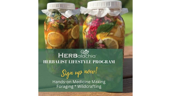 Herbal Medicine and Wild Foods Foraging Classes starting soon - www.elizabethton.com