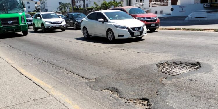 Bache en plena avenida