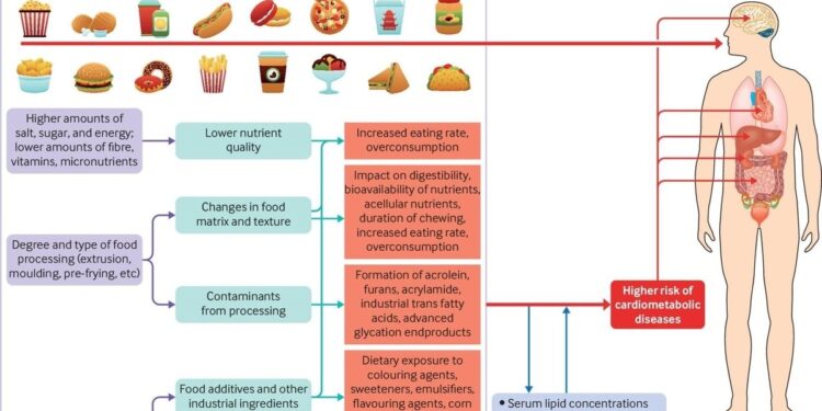 Sweeping Review Links Ultra-Processed Foods to Array of Health Risks