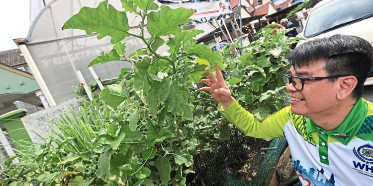 Harvesting hope to tackle food security