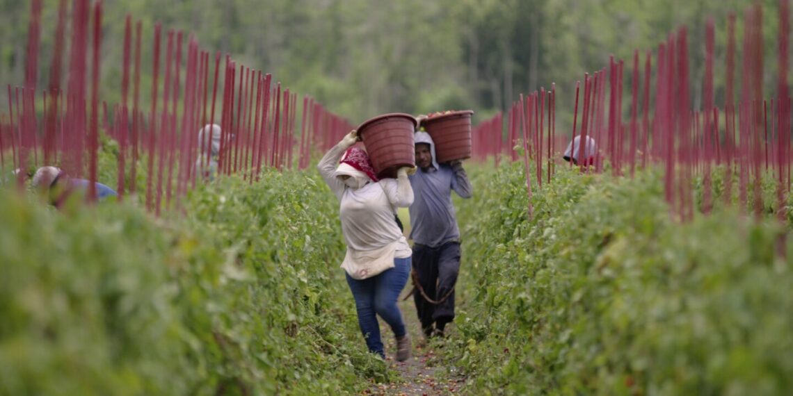 Makers of ‘Food, Inc’ sequel, launch impact campaign around pressing issues