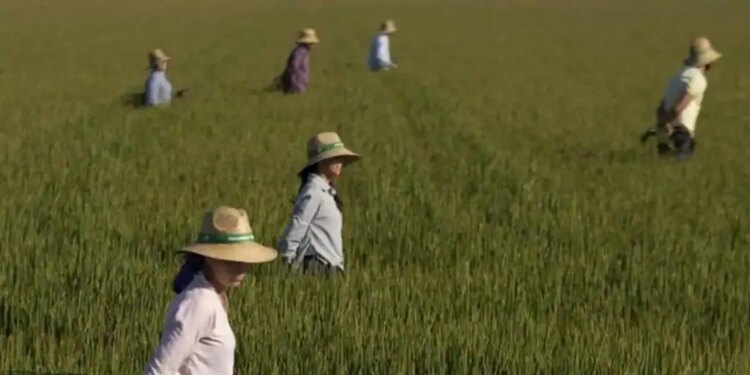 Ebro Foods dispara un 53,2% su beneficio en 2023, hasta los 187 millones