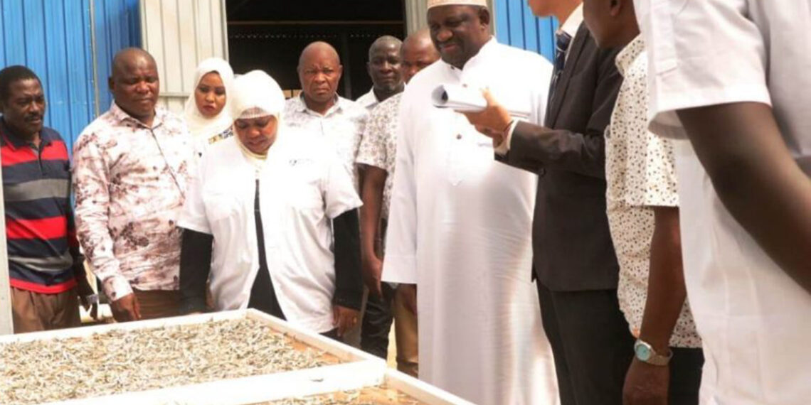 Jinzai Foods Group deepens China’s seafood ties with Kenya