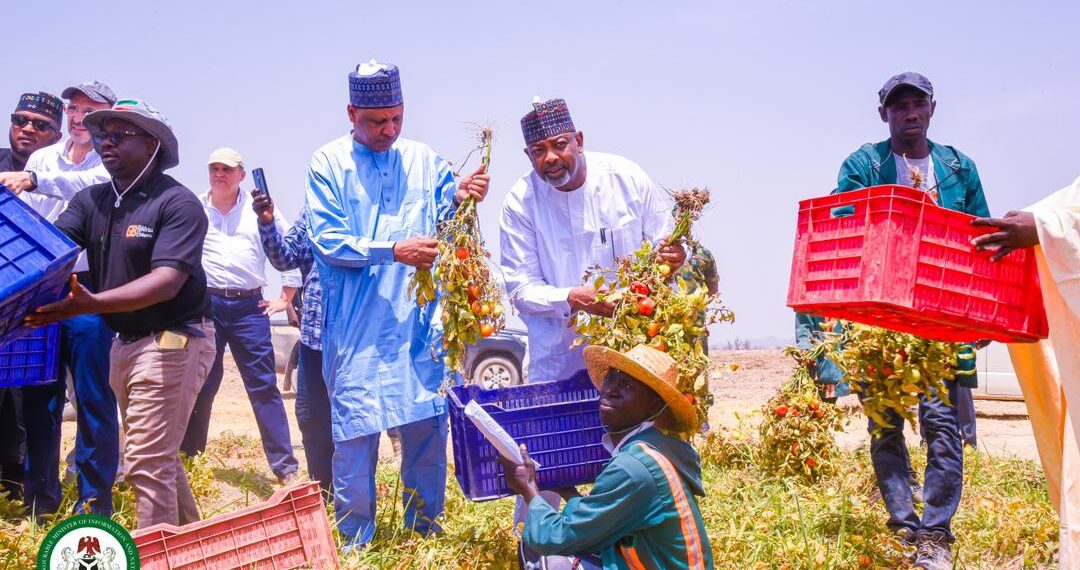 Minister Idris commends GB Foods' commitment to Nigeria