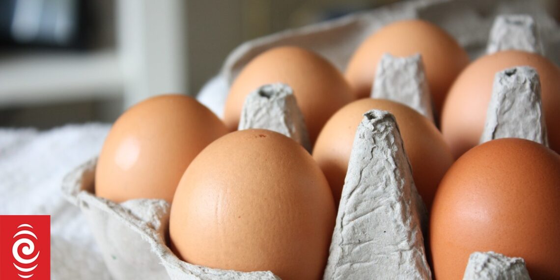Price of common foods soars more than 50% in NZ - report