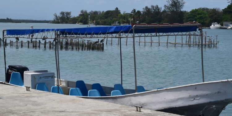 Clima no ha favorecido viajes a Isla Lobos