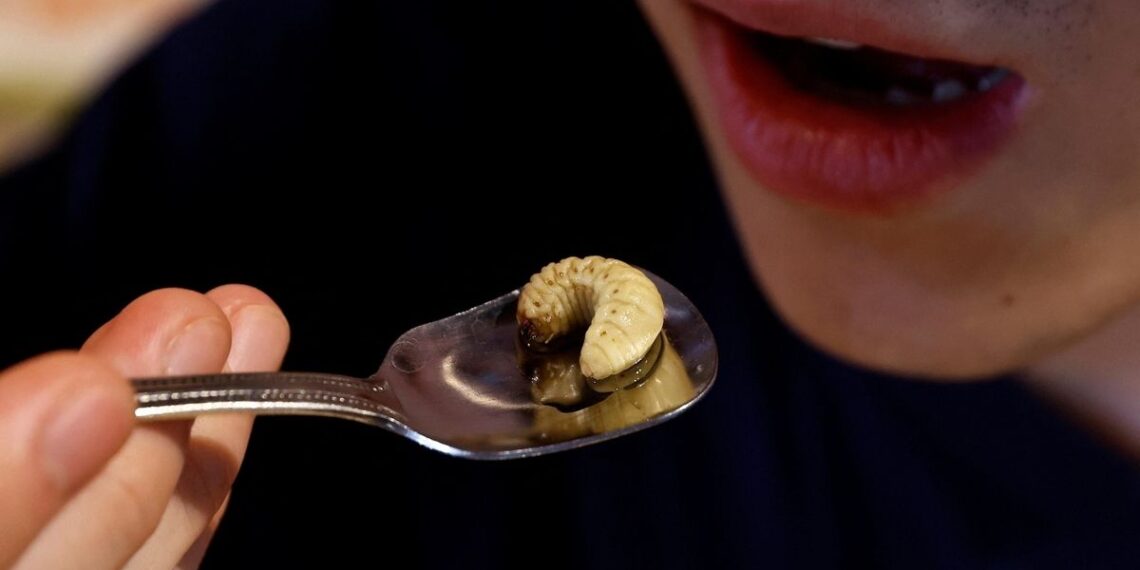 Future Foods or Faux Pas? Italy Battles Insect-Based Dishes in Schools