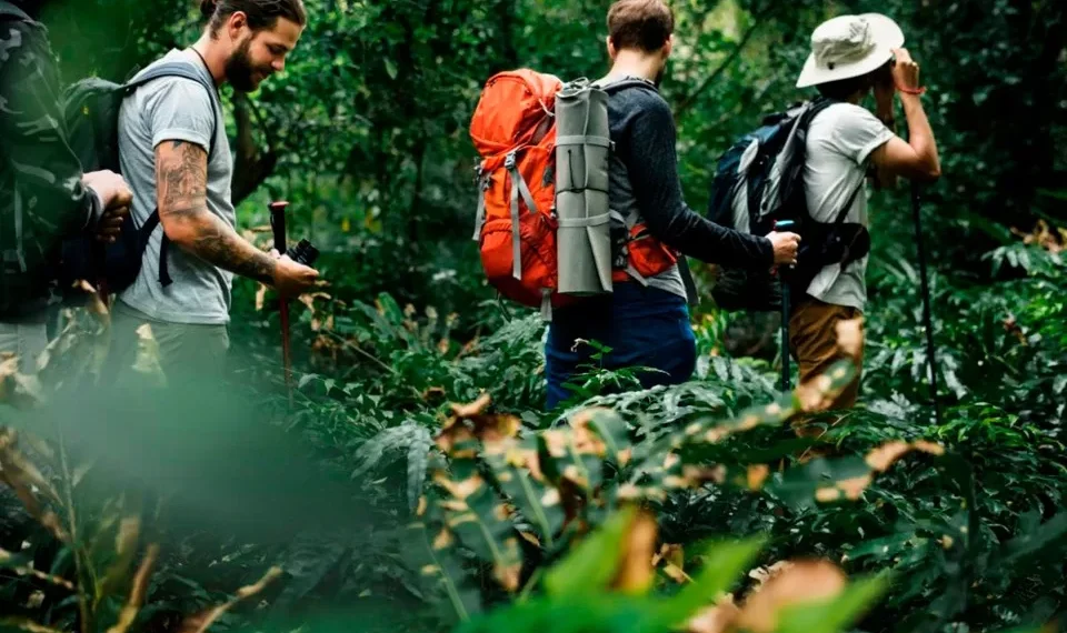 Turismo sostenible redefine los viajes para preservar el planeta
