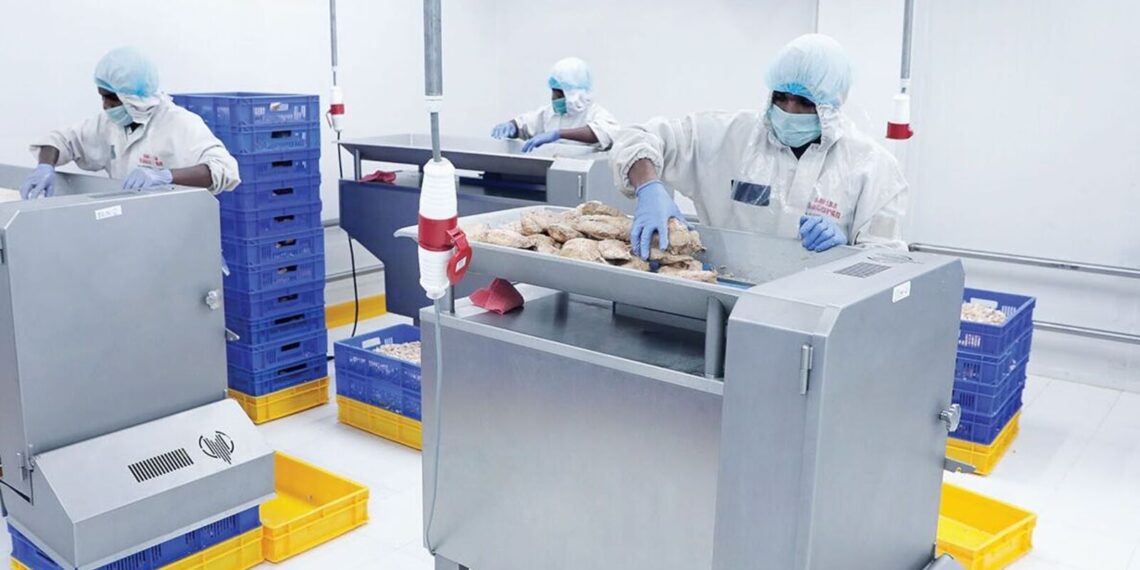Chatha Foods share price makes a strong debut, stock opens with 30% premium at ₹73 apiece on BSE SME