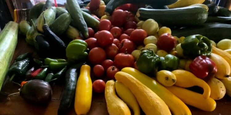 Casper Local Foods Expert to Speak in Sheridan – Sheridan Media