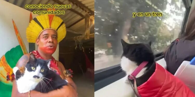 las aventuras de viajes de una instagramer y su compañero felino