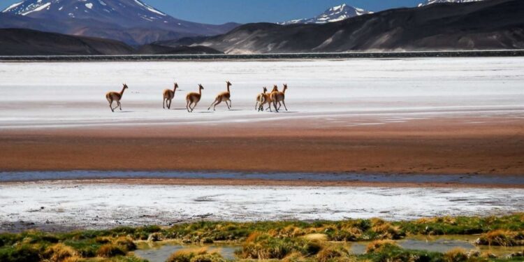 Ruta de Los Seismiles y el Balcón del Pissis, hermosos destinos para visitar en Semana Santa
